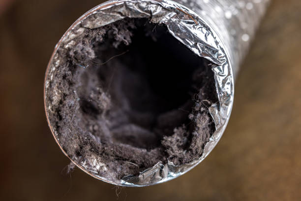 Best Best Air Duct Cleaning Near Me  in Maple Grove, MN